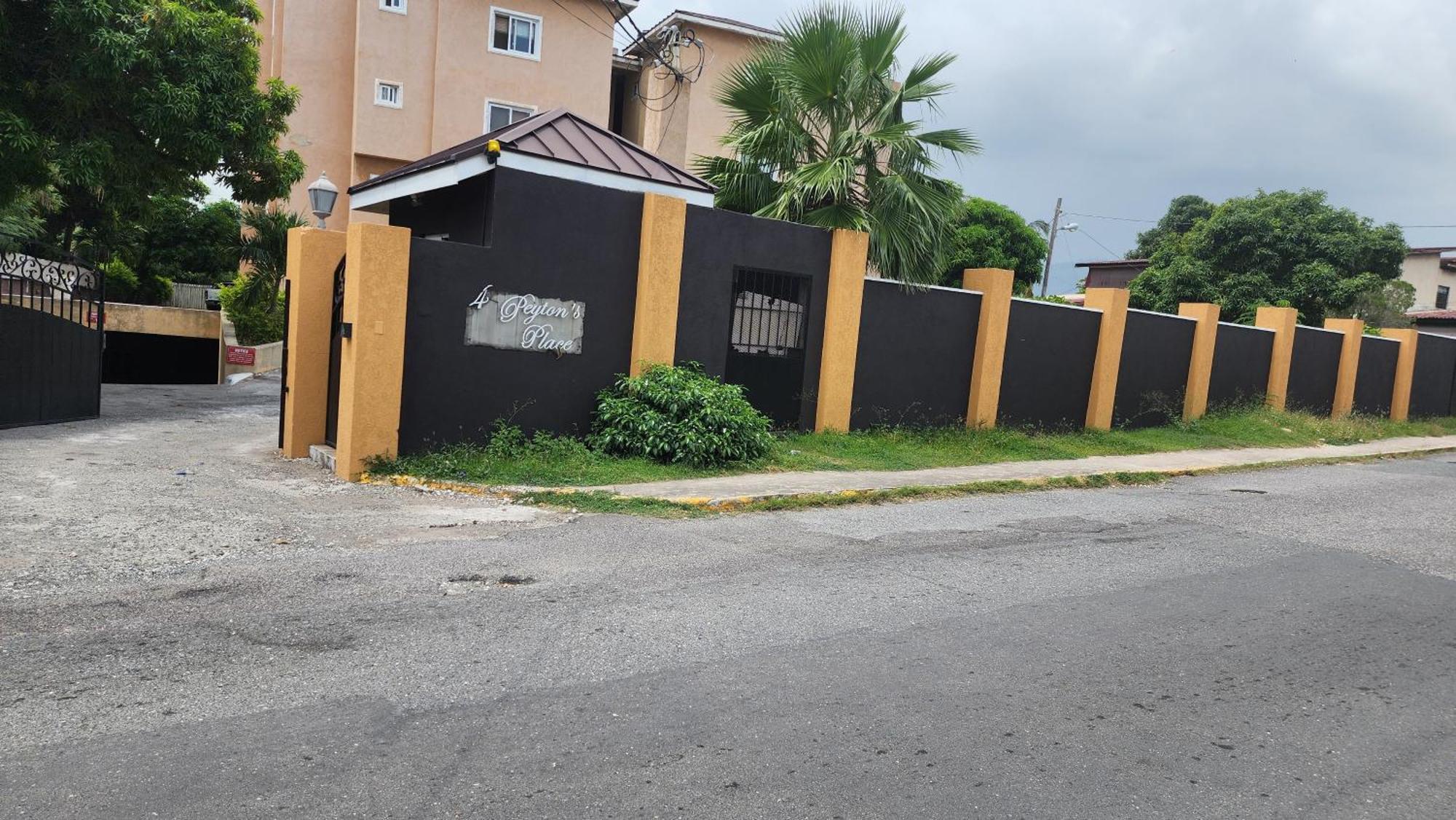 Central Upscale New Kingston Apt With Pool Экстерьер фото